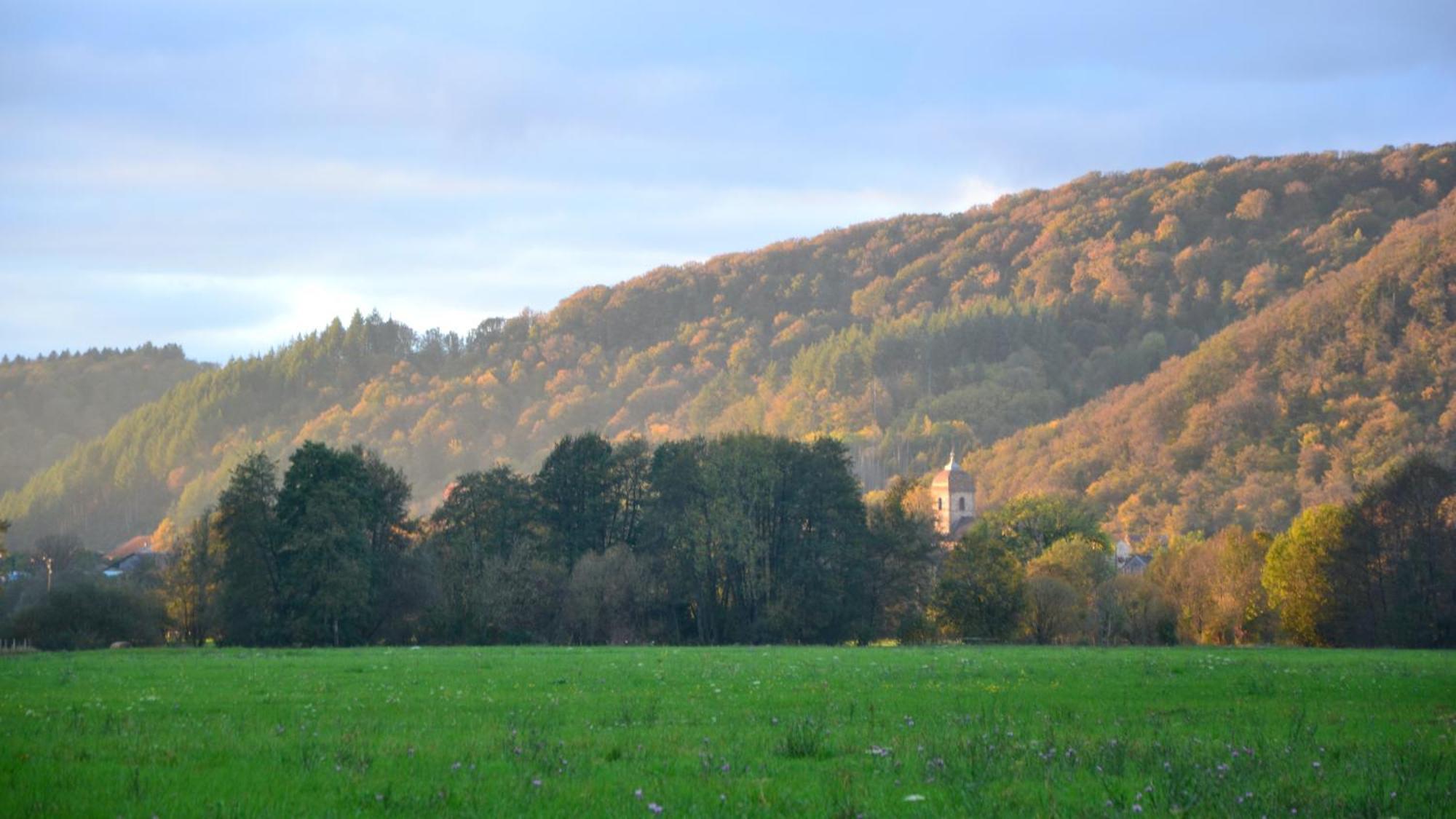 Chalet Des Aigrettes, Les 1000 Etangs La Voivre  Exterior foto