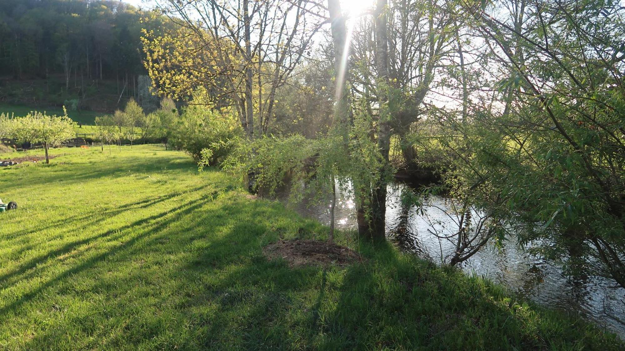 Chalet Des Aigrettes, Les 1000 Etangs La Voivre  Exterior foto
